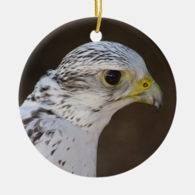 Falco rusticolus ceramic tree decoration (Front)