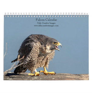 Falcon 2026 calendar