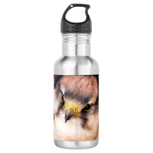 FALCON 532 ML WATER BOTTLE