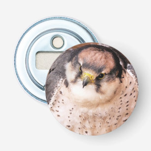 FALCON BIRD OF PREY BOTTLE OPENER