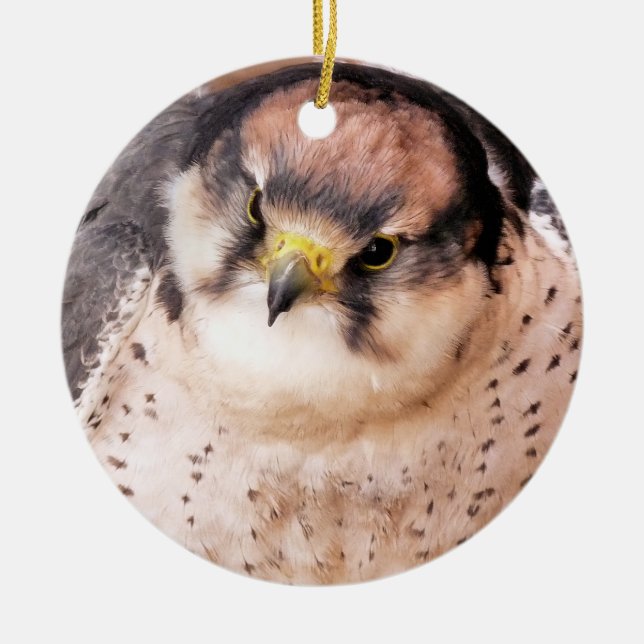 FALCON BIRD OF PREY CERAMIC TREE DECORATION (Front)