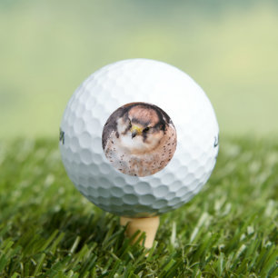 FALCON BIRD OF PREY GOLF BALLS