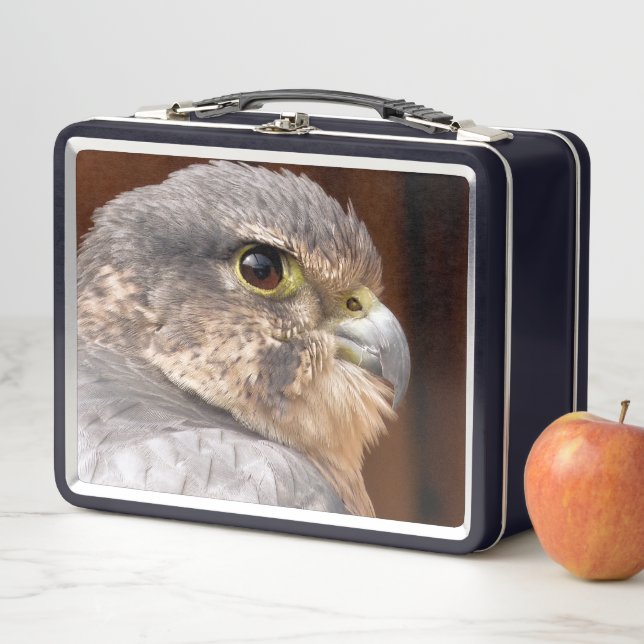 FALCON METAL LUNCH BOX (In Situ)
