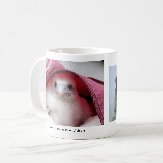 Falcon Mug (Front Left)
