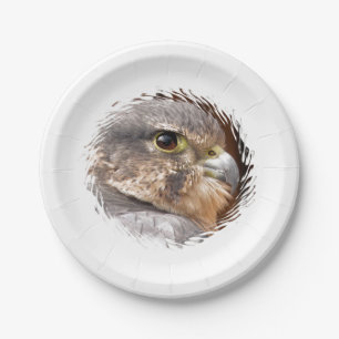 FALCON PAPER PLATE