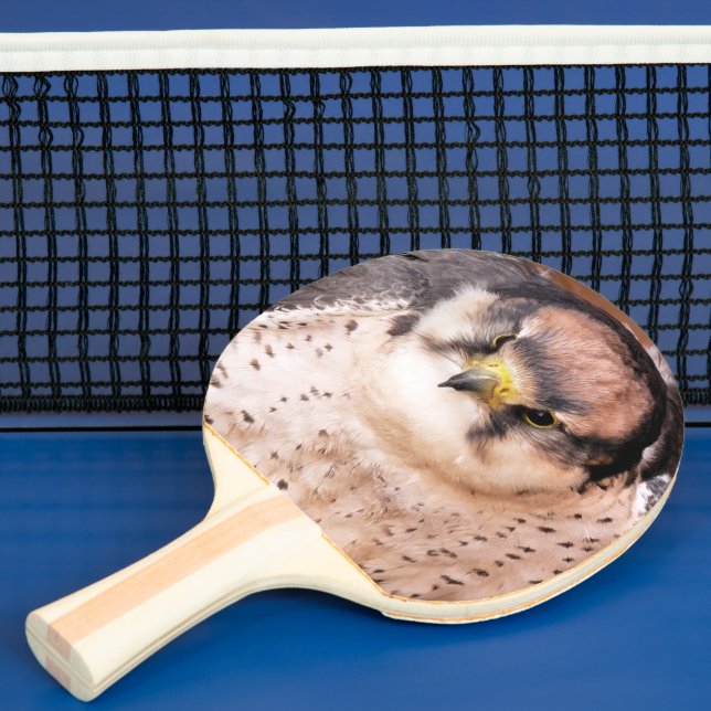 FALCON PING PONG PADDLE (Insitu)
