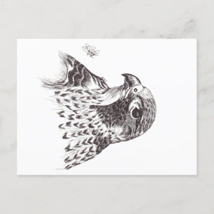 FALCON POSTCARD