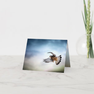 Falcon Soaring in the Sky Card