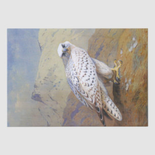 Falcon Watercolor Wildlife Decoupage Tissue Paper