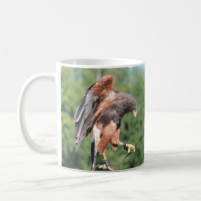 Falconry, Jessed Harris Hawk Coffee Mug (Left)