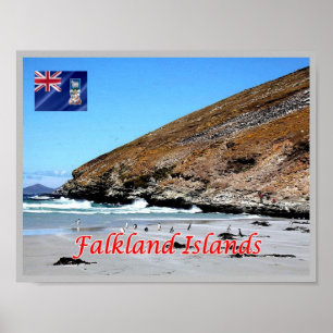 Falkland Islands - Poster
