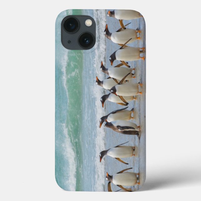 Falkland Islands. Saunders Island. Gentoo Case-Mate iPhone Case (Back)