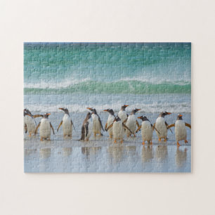 Falkland Islands. Saunders Island. Gentoo Jigsaw Puzzle