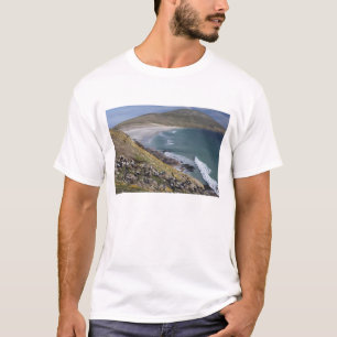 Falkland Islands, West Falkland, Saunders T-Shirt