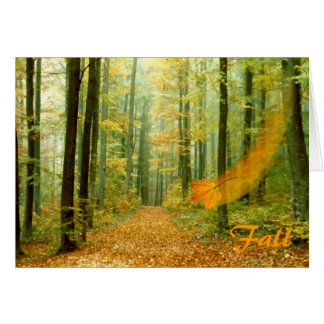 Fall
