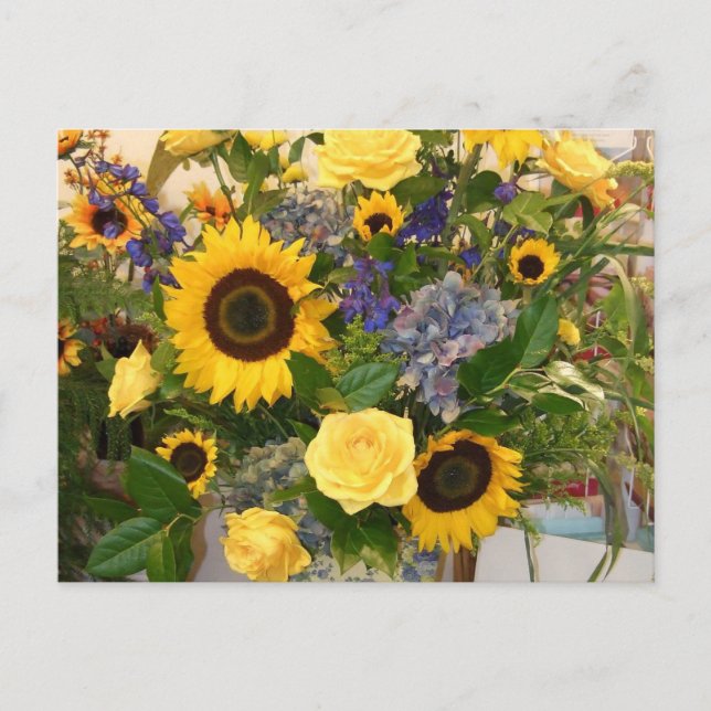 Fall 2011 postcard (Front)