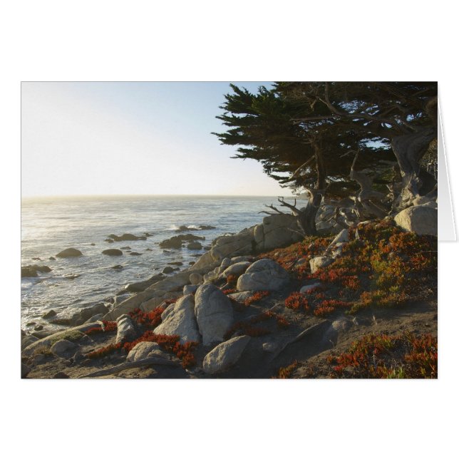 Fall Afternoon on the Pacific (Front Horizontal)