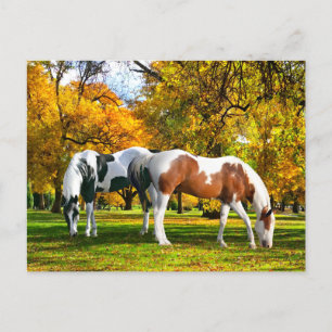 "Fall Afternoon"  Postcard