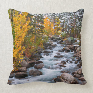 Fall along Bishop creek, California Cushion
