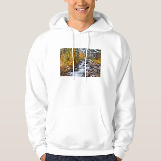 Fall along Bishop creek, California Hoodie (Front)