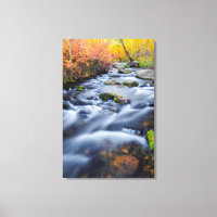 Fall along Lundy Creek, California