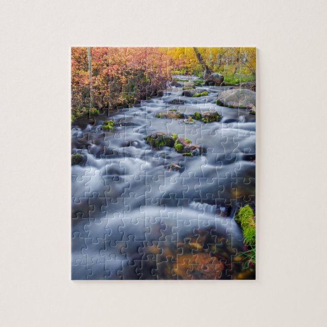 Fall along Lundy Creek, California Jigsaw Puzzle (Vertical)