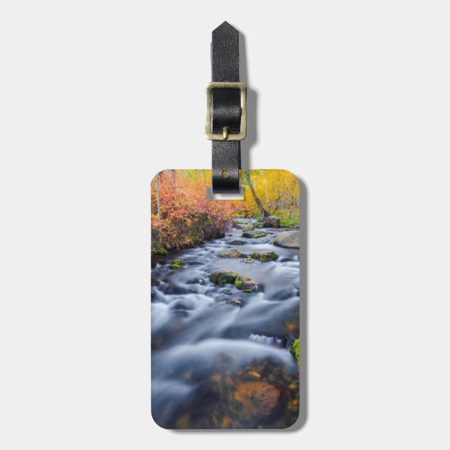 Fall along Lundy Creek, California Luggage Tag (Front Vertical)