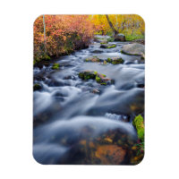 Fall along Lundy Creek, California
