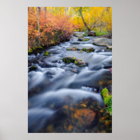 Fall along Lundy Creek, California
