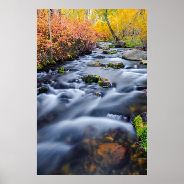 Fall along Lundy Creek, California Poster (Front)