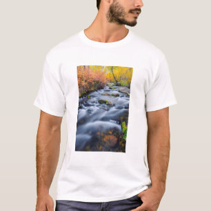 Fall along Lundy Creek, California T-Shirt