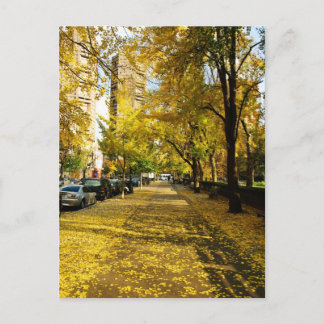 Fall Along the Park Postcard