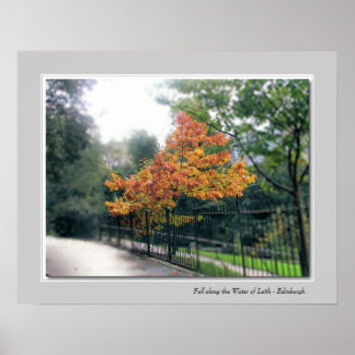 Fall along the Water of Leith - Edinburgh Poster