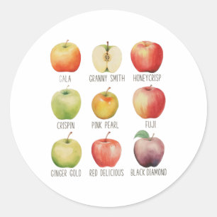 Fall Apple Picking Apple Orchard Boho Farm Fesh To Classic Round Sticker