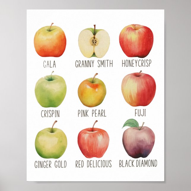 Fall Apple Picking Apple Orchard Boho Farm Fesh To Poster (Front)