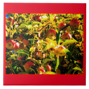 Fall Apples Tile