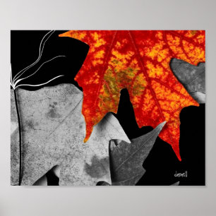 Fall Art (standard picture frame size) Poster