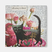 Fall Asleep to Dream Black Cat Hot Pink Flowers