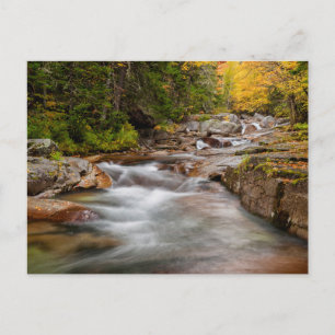 Fall at Jefferson Brook, New Hampshire Postcard