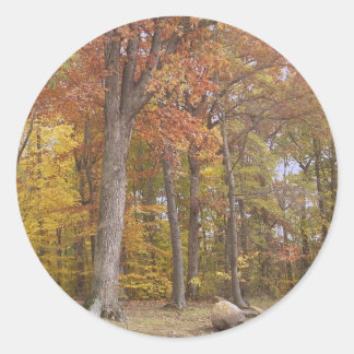 Fall at the Park Sticker