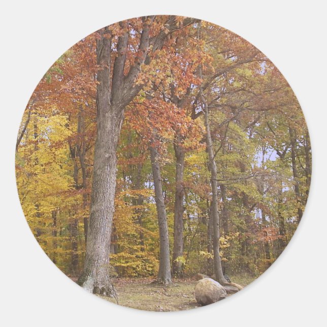 Fall at the Park Sticker (Front)