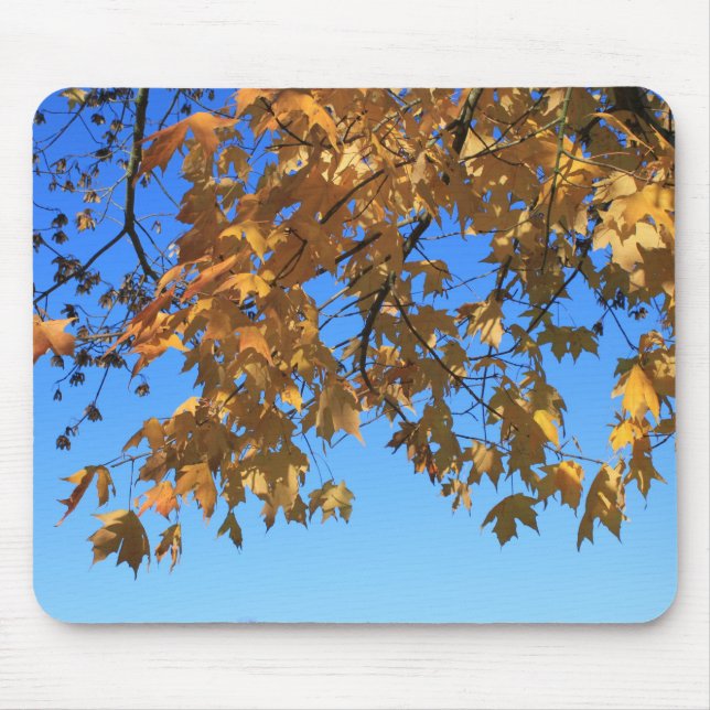 Fall,autumn leaves,trees and blue sky mouse pad (Front)