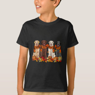 Fall Autumn Pumpkin Labrador Retriever Thanksgivin T-Shirt