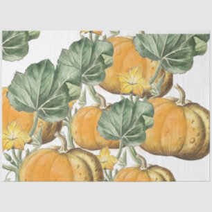 Fall Autumn Watercolor Vintage Pumpkins  Tissue Paper