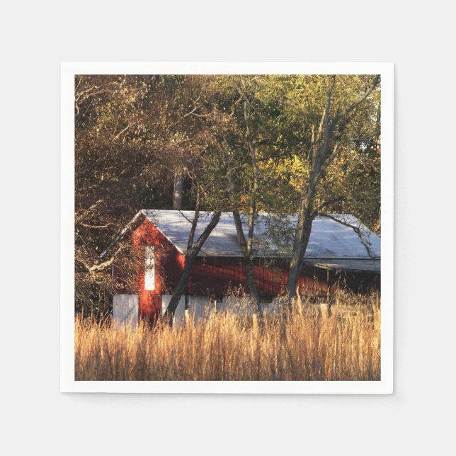 Fall Barn in Central Maryland Napkin (Front)
