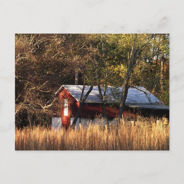 Fall Barn in Central Maryland Postcard (Front)