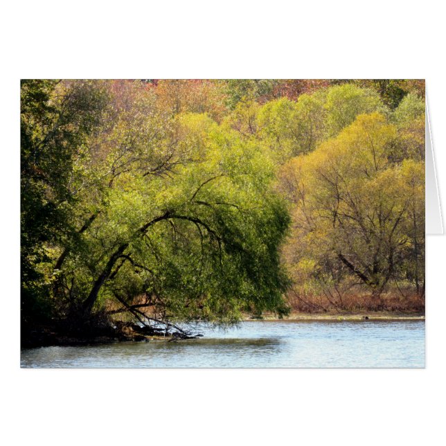 Fall Beauty - Blank Inside (Front Horizontal)