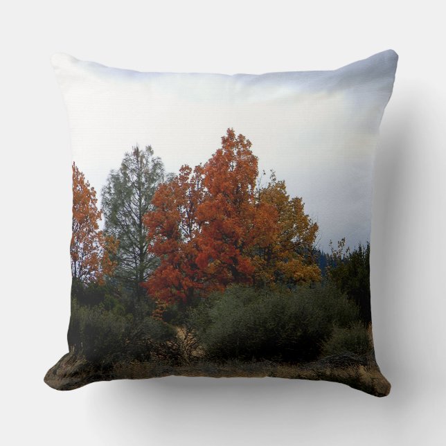 Fall beauty.... cushion (Front)