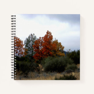 Fall beauty.... notebook