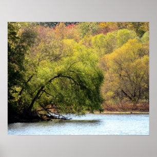 Fall Beauty Poster